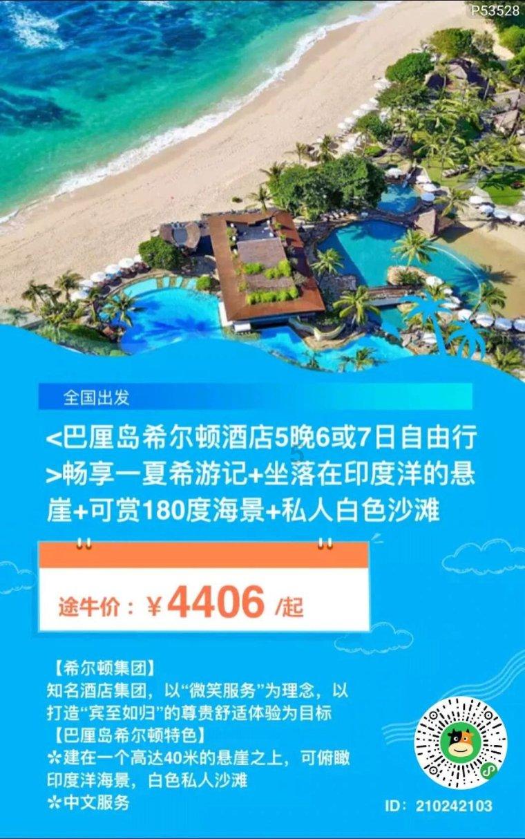 救援受困的小野猫