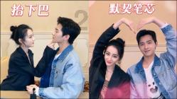 救援卷耳兔