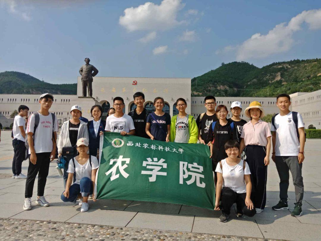 新手魔法师