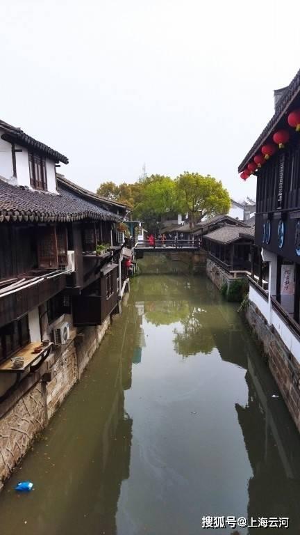 德江老牌“天麻酒”重回市场焕活力